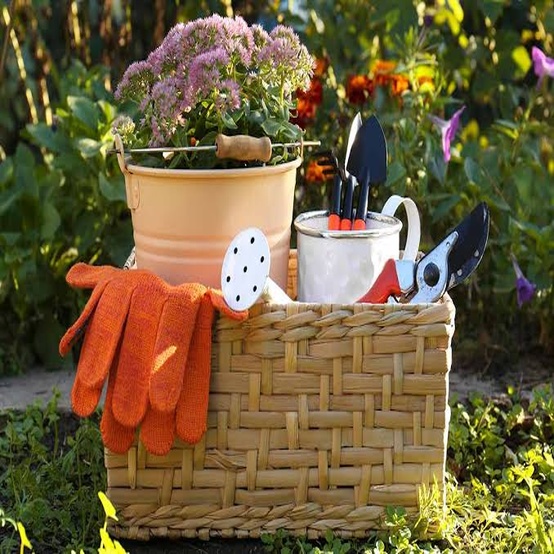 Garden Essentials
