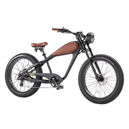 Revi Bikes Cheetah 48V 750W Hub Motor Fat Tire Electric Cruiser Bike