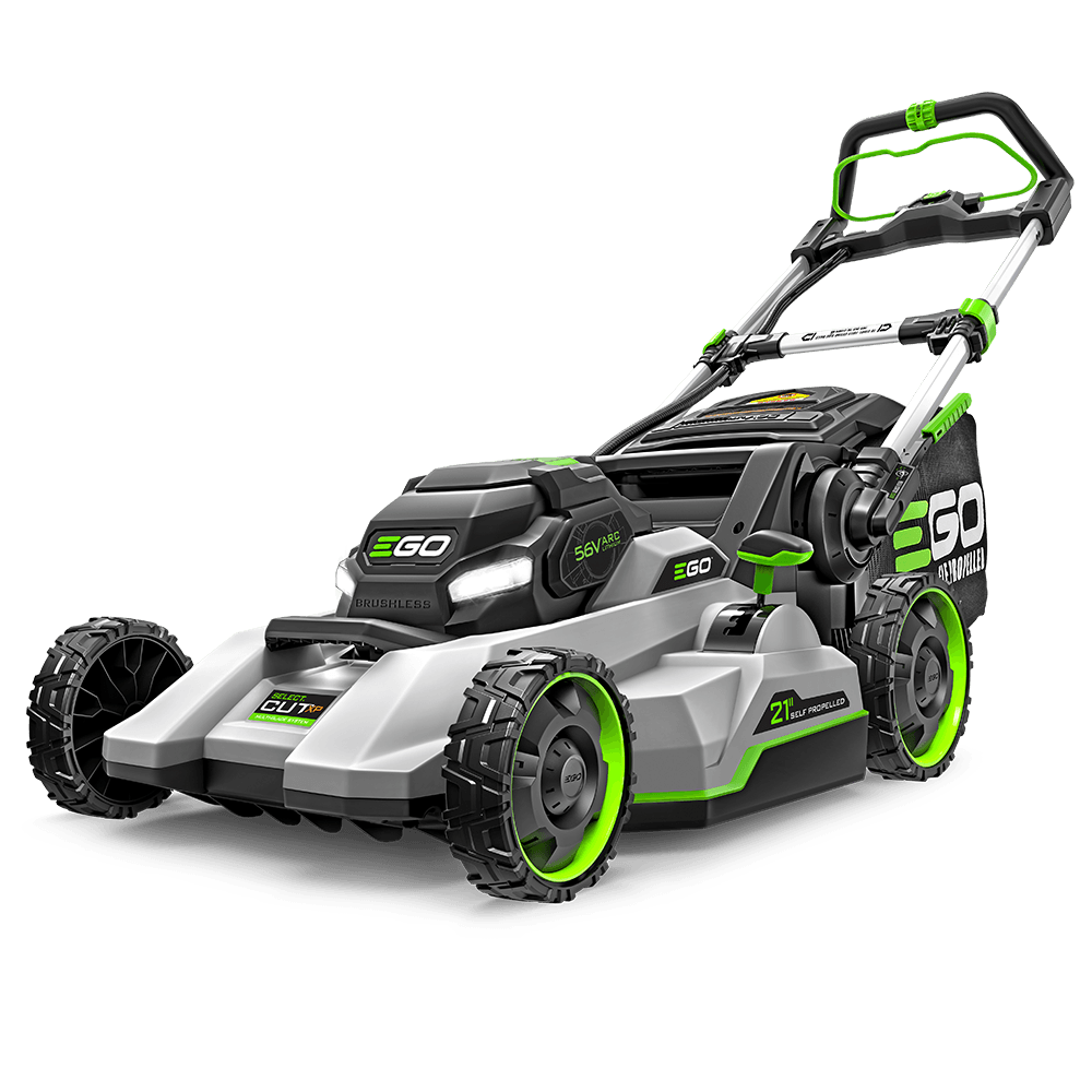 rootyc-product-14-image-1.png